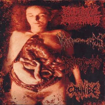 Cannibe : Psychotic Homicidal Dismemberment - Cannibe - Visceranalspermatorgiasticpus - Rottencrotch